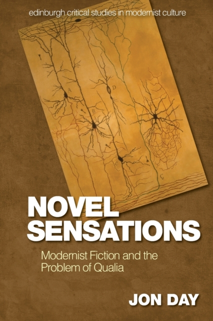 Novel Sensations : Modernist Fiction and the Problem of Qualia, Paperback / softback Book