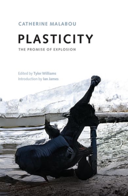 Plasticity : The Promise of Explosion, Hardback Book