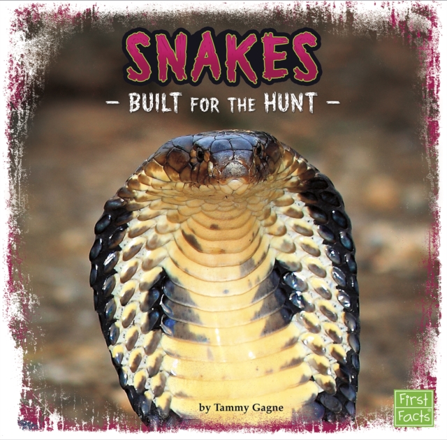 Snakes : Built for the Hunt, PDF eBook