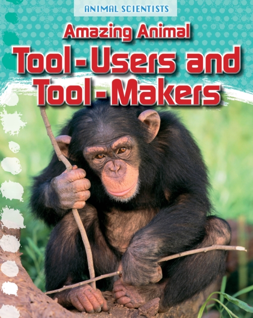 Amazing Animal Tool-Users and Tool-Makers, Hardback Book