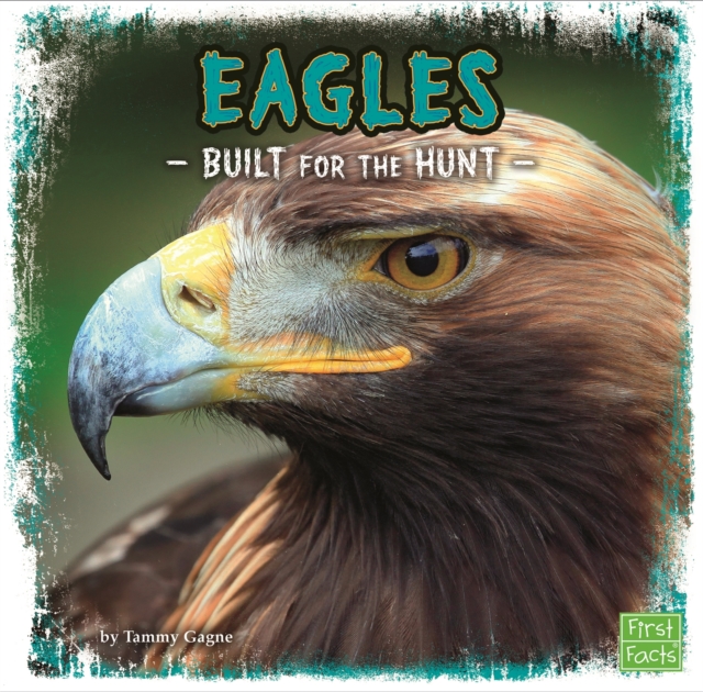 Eagles : Built for the Hunt, Paperback / softback Book