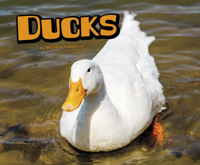 Ducks, Hardback Book