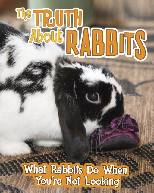The Truth about Rabbits : What Rabbits Do When You're Not Looking, Paperback / softback Book