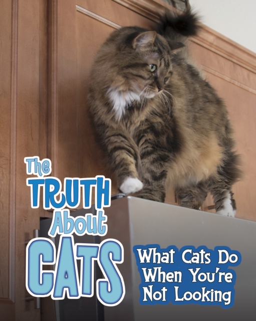 The Truth about Cats : What Cats Do When You're Not Looking, PDF eBook