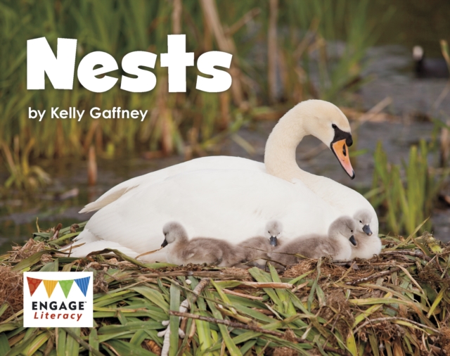 Nests, Paperback / softback Book