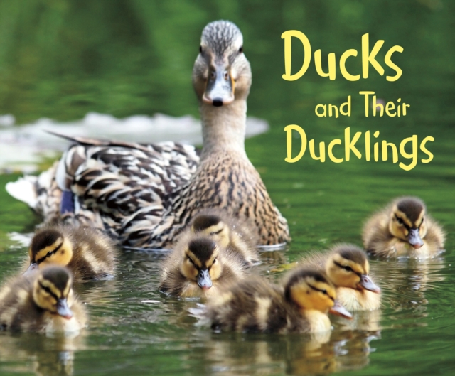 Ducks and Their Ducklings, Hardback Book