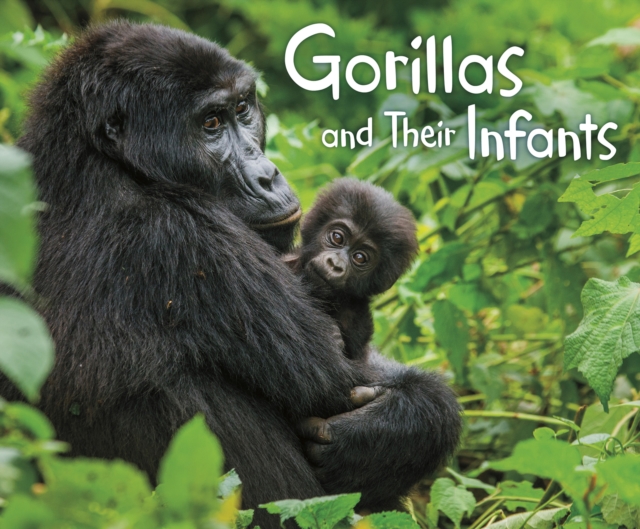 Gorillas and Their Infants, Hardback Book
