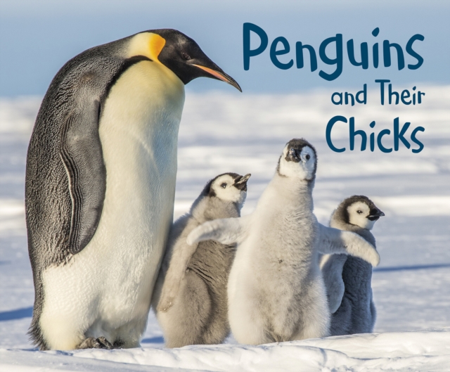 Penguins and Their Chicks, Hardback Book