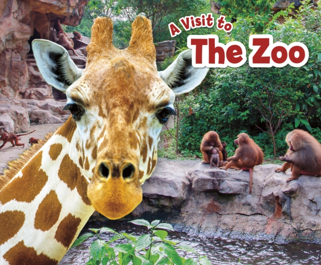 The Zoo, Hardback Book