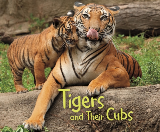 Tigers and Their Cubs, Paperback / softback Book