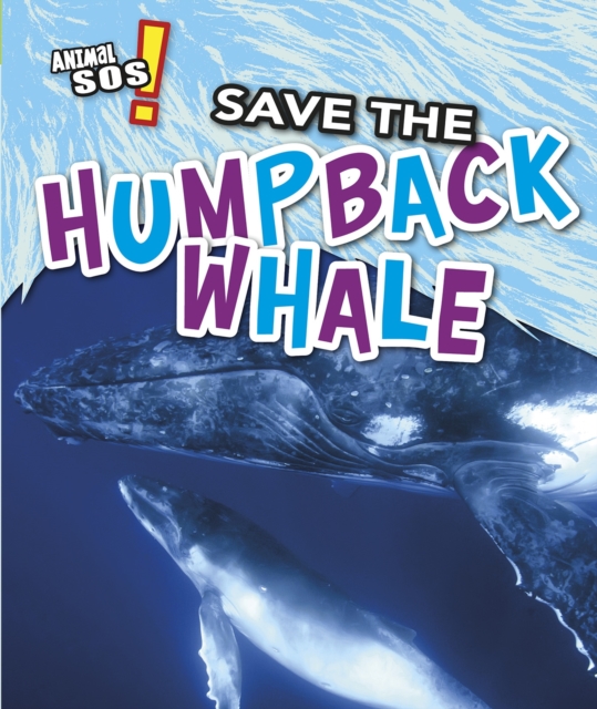 Save the Humpback Whale, Paperback / softback Book