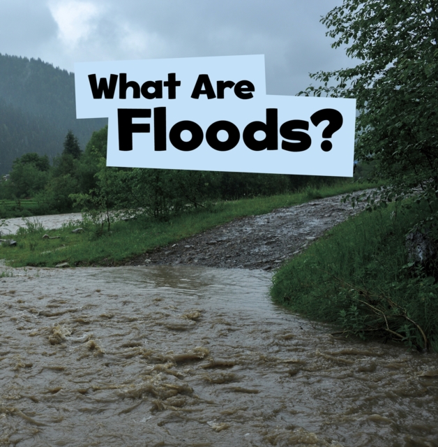 What Are Floods?, PDF eBook