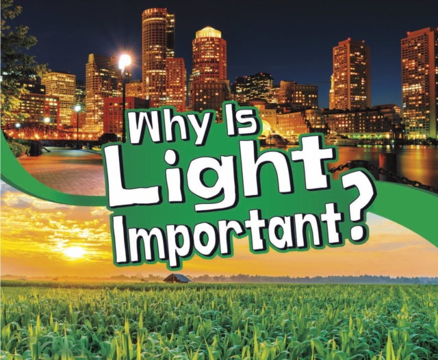 Why Is Light Important?, PDF eBook