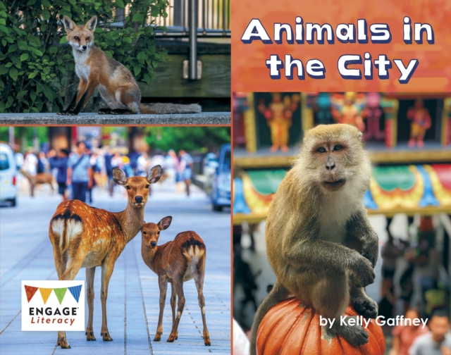 Animals in the City, Paperback / softback Book