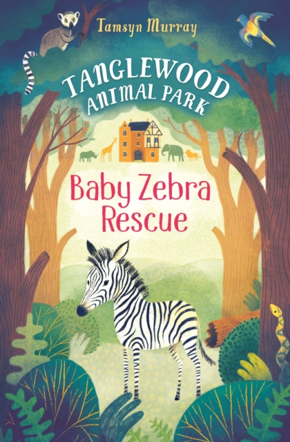 Baby Zebra Rescue, Paperback / softback Book