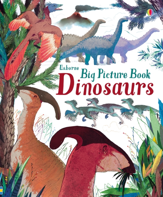 Big Picture Book Dinosaurs, Hardback Book