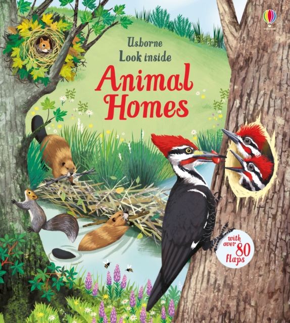 Look Inside Animal Homes, Board book Book