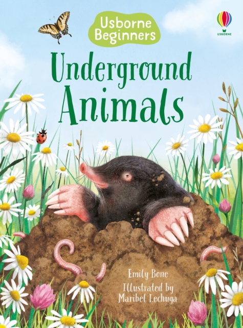 Underground Animals, Hardback Book