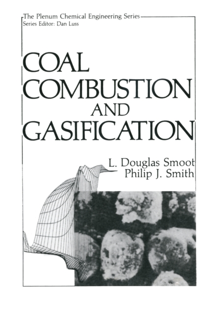 Coal Combustion and Gasification, PDF eBook