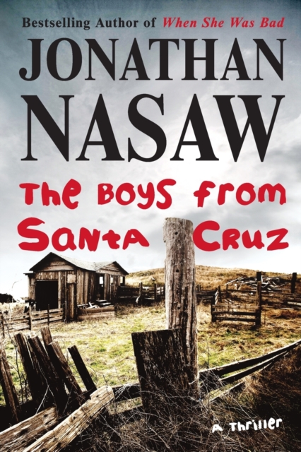 The Boys from Santa Cruz : A Thriller, Paperback / softback Book