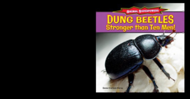 Dung Beetles: Stronger Than Ten Men!, PDF eBook