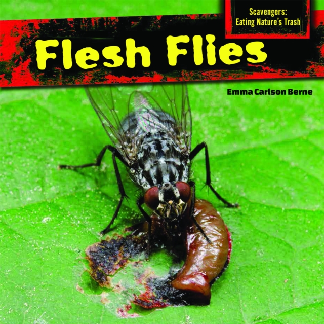 Flesh Flies, PDF eBook