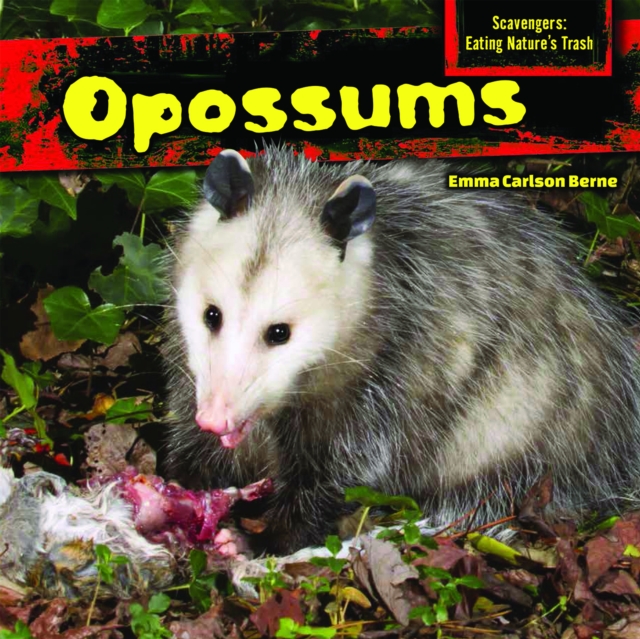 Opossums, PDF eBook