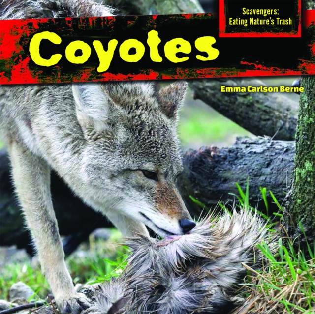 Coyotes, PDF eBook