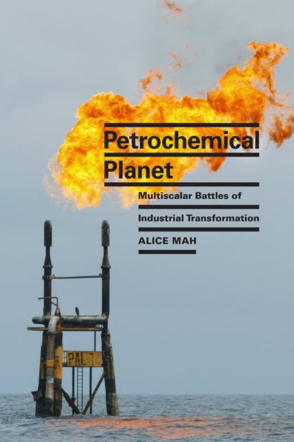 Petrochemical Planet : Multiscalar Battles of Industrial Transformation, Paperback / softback Book