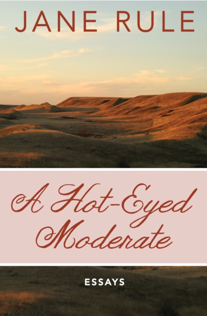 A Hot-Eyed Moderate : Essays, EPUB eBook