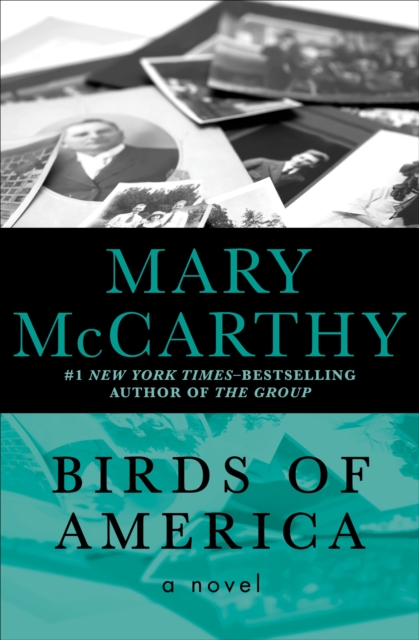 Birds of America : A Novel, EPUB eBook