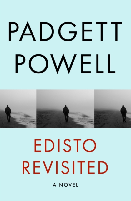 Edisto Revisited : A Novel, Paperback / softback Book