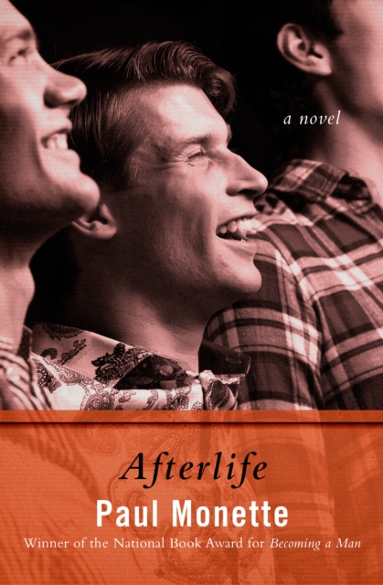 Afterlife : A Novel, EPUB eBook