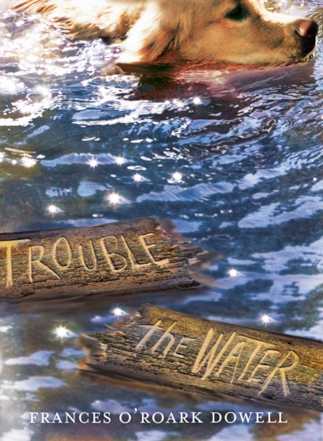 Trouble the Water, EPUB eBook