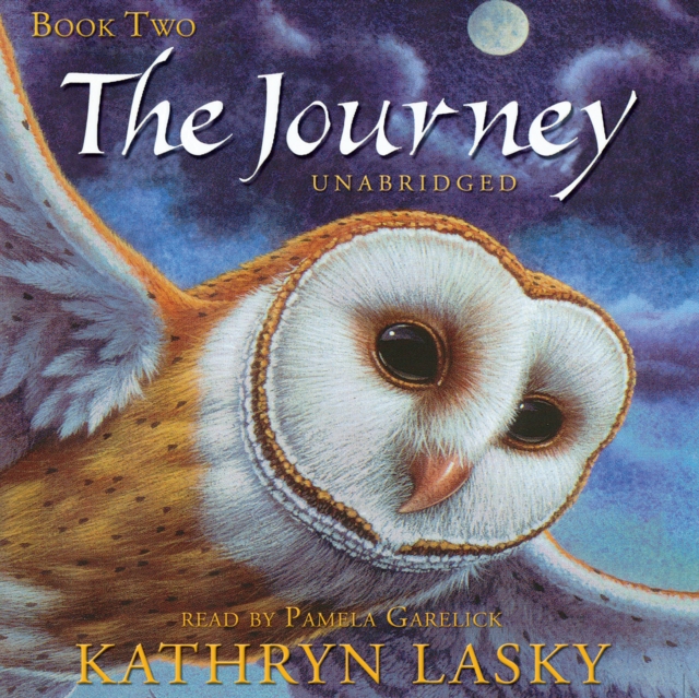 The Journey, eAudiobook MP3 eaudioBook