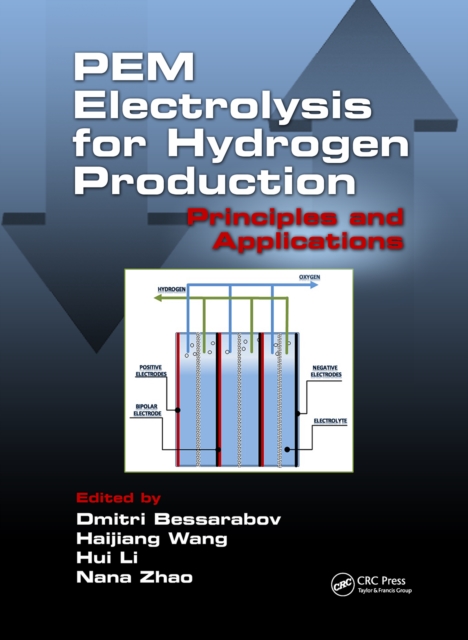 PEM Electrolysis for Hydrogen Production : Principles and Applications, PDF eBook