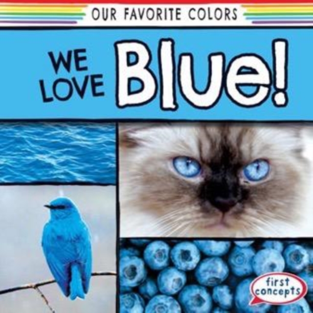 We Love Blue!, PDF eBook