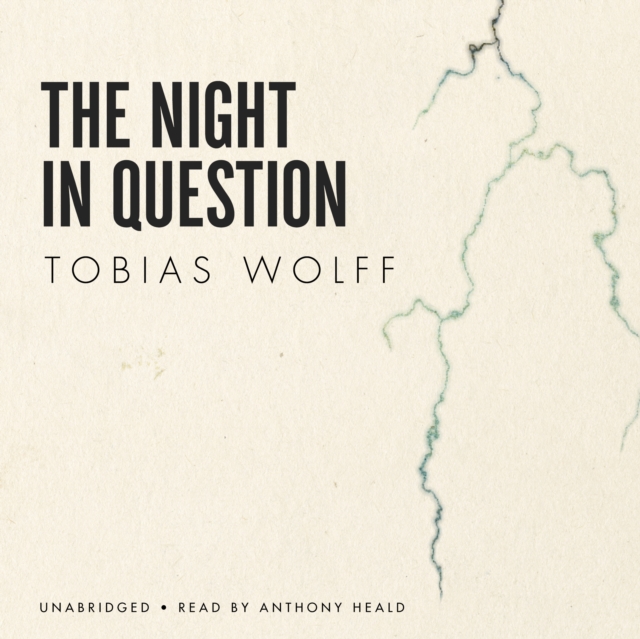 The Night in Question, eAudiobook MP3 eaudioBook