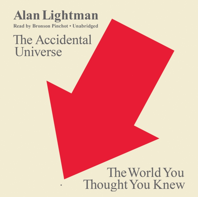 The Accidental Universe, eAudiobook MP3 eaudioBook