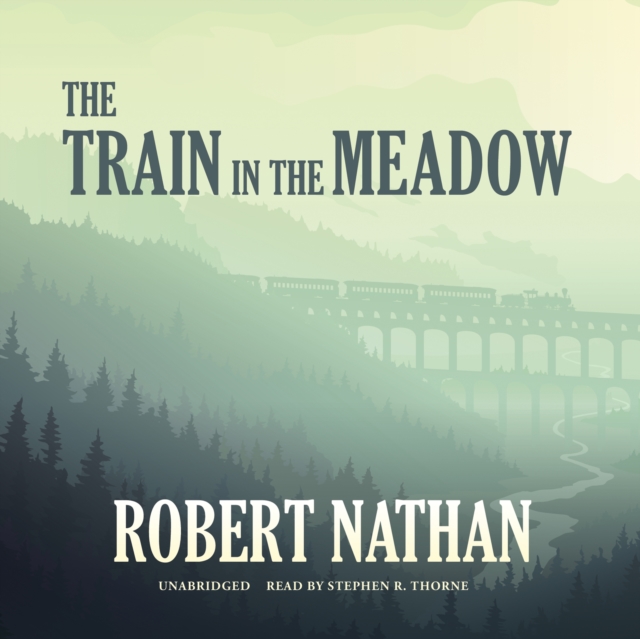 The Train in the Meadow, eAudiobook MP3 eaudioBook