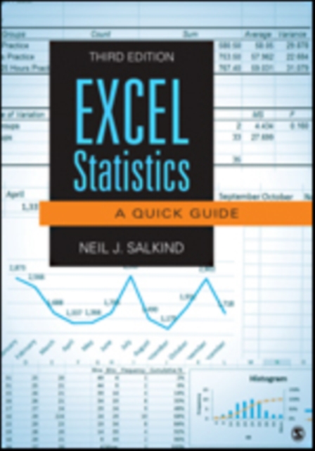 Excel Statistics : A Quick Guide, Paperback / softback Book