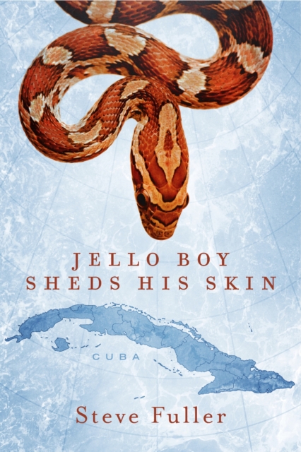 Jello Boy Sheds His Skin, EPUB eBook