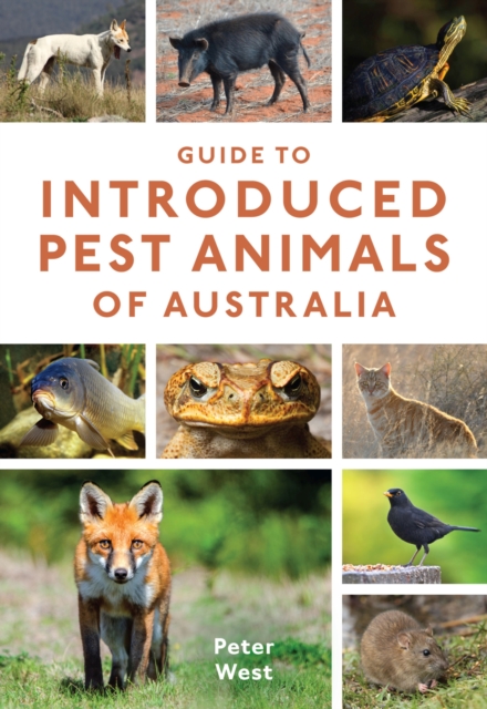 Guide to Introduced Pest Animals of Australia, Paperback / softback Book