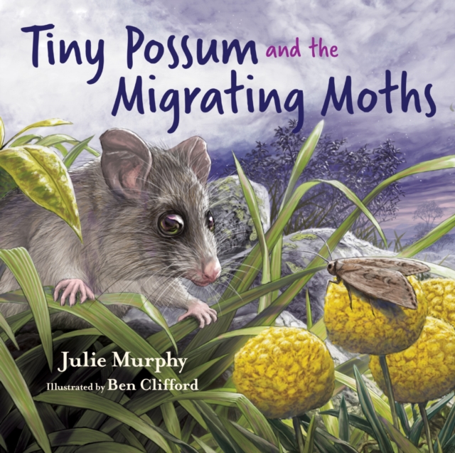 Tiny Possum and the Migrating Moths, EPUB eBook