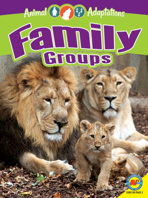 Family Groups, PDF eBook