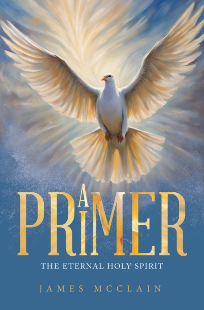 A Primer : The Eternal Holy Spirit, EPUB eBook