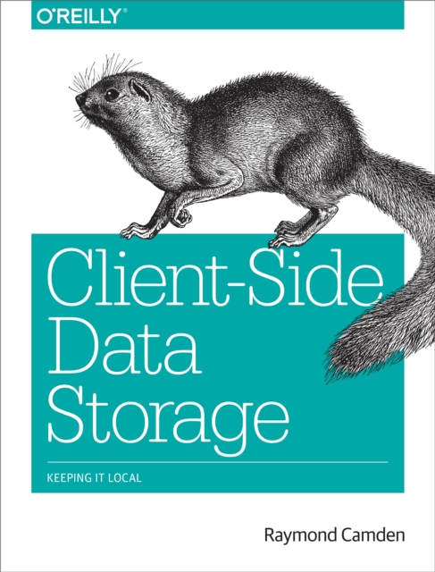 Client-Side Data Storage : Keeping It Local, EPUB eBook