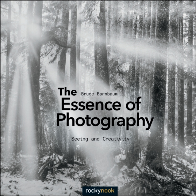 The Essence of Photography : Seeing and Creativity, EPUB eBook