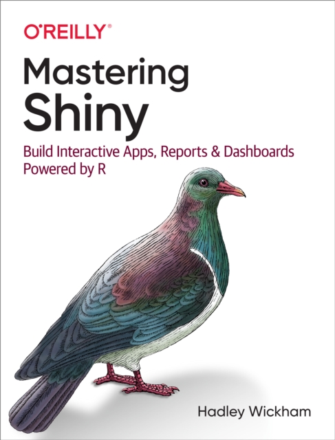 Mastering Shiny, PDF eBook