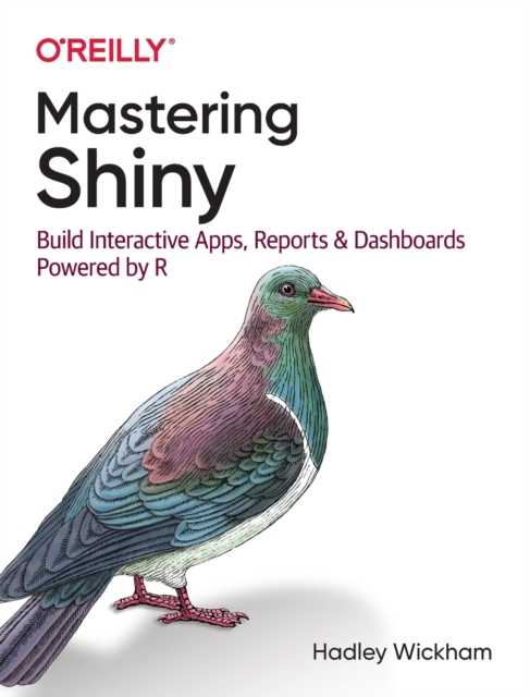 Mastering Shiny : Build Interactive Apps, Reports, and Dashboards Powered by R, Paperback / softback Book